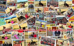 FOTOS DA SEMANA